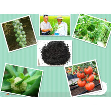 Agrochemical Npkn-P-K Compound Potassium Humate Organic Fertilizer